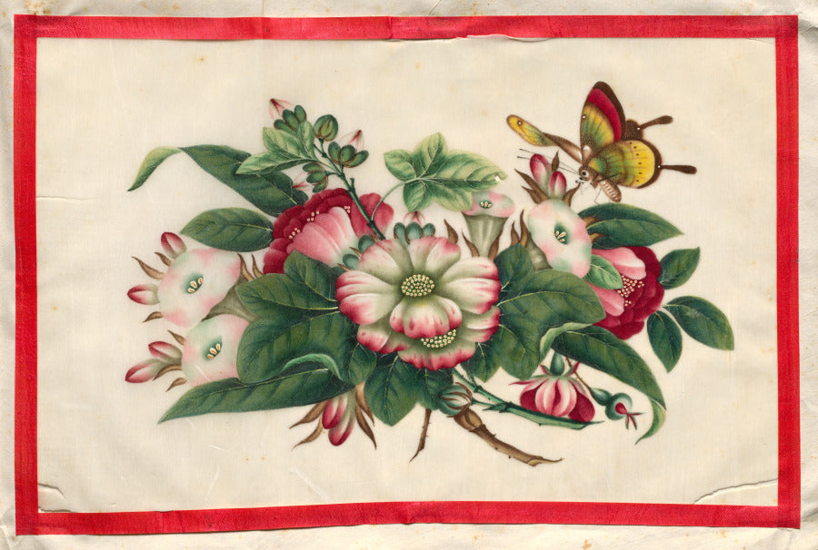 Painting Twelve from Illustrated Book of Flowers and Butterflies by  - Classic Art canvas print