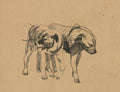 Two Dogs by George Bellows (American, 1882–1925) - Classic Painting canvas print