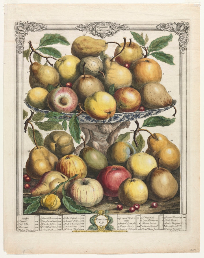 Twelve Months of Fruit  February by Henry Fletcher (British, active 1715–38) - Classic Painting canvas print