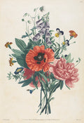 Collection of Flowers and Fruits Painted after Nature  Bouquet of Foxglove, Clematis, Pansy, Peony, Poppy, and Yellow Day Lily by Louis Charles Ruotte (French, 1754–1806) - Classic Painting canvas print