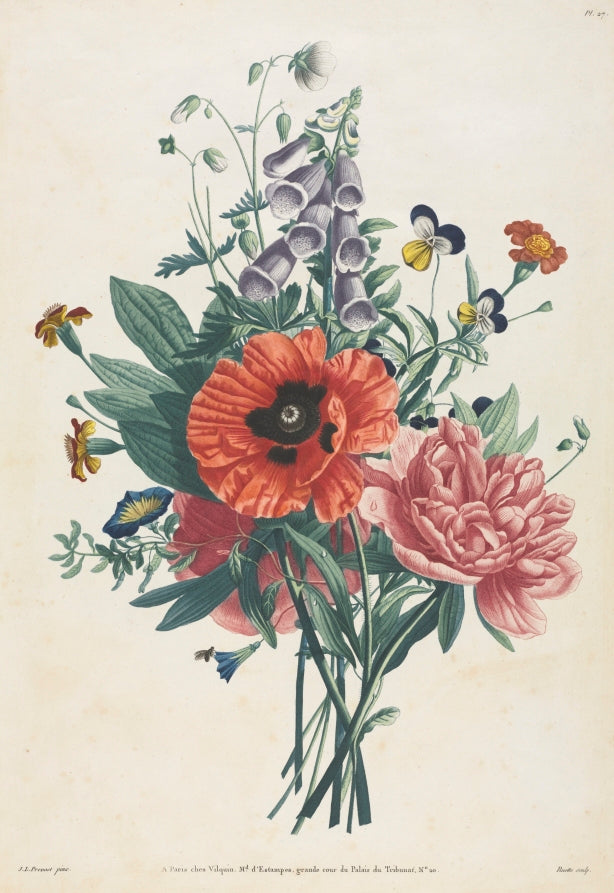 Collection of Flowers and Fruits Painted after Nature  Bouquet of Foxglove, Clematis, Pansy, Peony, Poppy, and Yellow Day Lily by Louis Charles Ruotte (French, 1754–1806) - Classic Painting canvas print