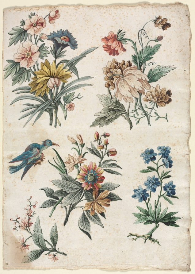 Floral Designs with a Blue Bird by Giacomo Cavenezia (Italian) - Classic Painting canvas print
