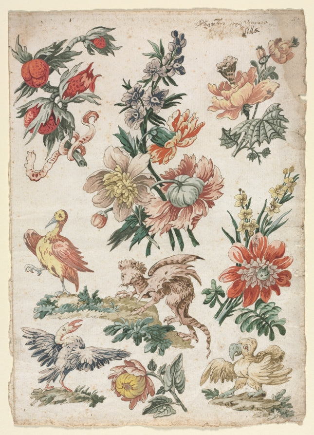 Floral Designs with Birds and Griffon by Giacomo Cavenezia (Italian) - Classic Painting canvas print