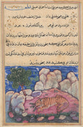 The lion disturbed by mice who eat the food trapped in his aging teeth, from a Tuti-nama Tales of a Parrot Fifteenth Night by  - Classic Art canvas print