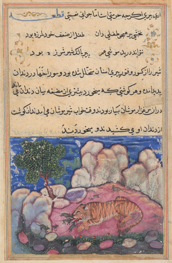 The lion disturbed by mice who eat the food trapped in his aging teeth, from a Tuti-nama Tales of a Parrot Fifteenth Night by  - Classic Art canvas print