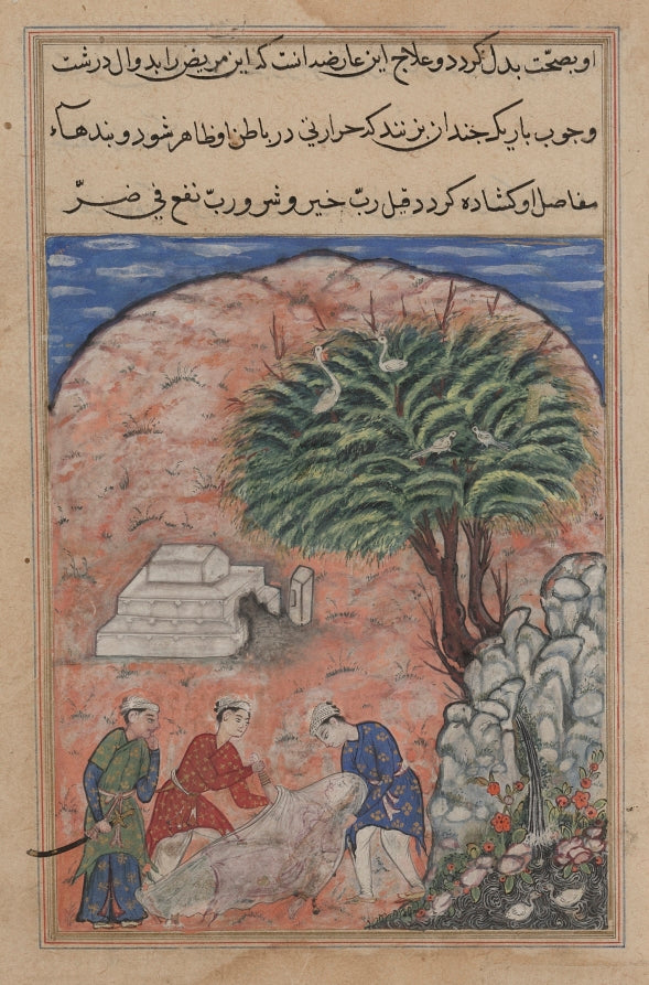 The suitors take the devotees daughter out of her tomb after breaking it open, when the physician discovers she is still alive, from a Tuti-nama Tales of a Parrot Twentieth Night by  - Classic Art canvas print
