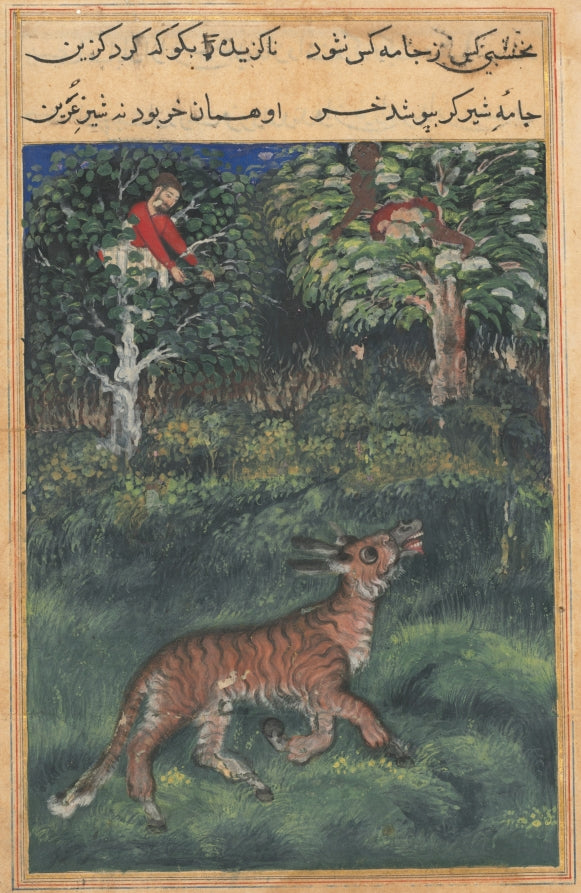 The donkey, in a tigers skin, reveals his identity by braying aloud, from a Tuti-nama Tales of a Parrot Thirty-first Night by Basavana (Indian, active c. 1560–1600) - Classic Art canvas print