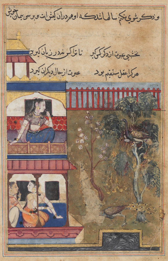 The queen of Rum watches the peahen prefer to burn rather than abandon her eggs while the peacock flees the nest, from a Tuti-nama Tales of a Parrot Thirty-ninth Night by  - Classic Art canvas print