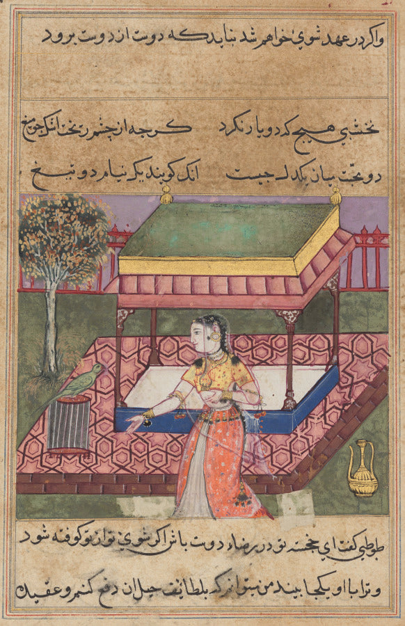 The parrot addresses Khujasta at the beginning of the fortieth night, from a Tuti-nama Tales of a Parrot by  - Classic Art canvas print