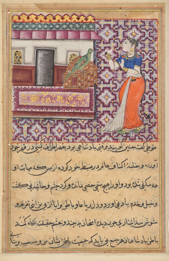 The parrot addresses Khujasta at the beginning of the fiftieth night, from a Tuti-nama Tales of a Parrot Fiftieth Night by  - Classic Art canvas print
