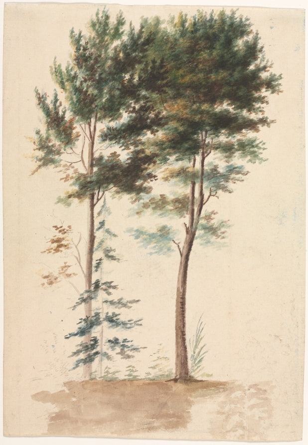 Trees by Jean Baptiste Pillement (French, 1728–1808) - Classic Painting canvas print