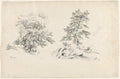 Chestnut and Pine by David Johnson (American, 1827–1908) - Classic Painting canvas print