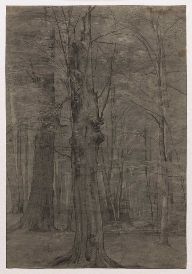 Trees by Leopold Bode (German, 1831–1906) - Classic Painting canvas print