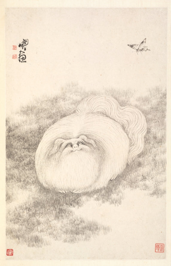 Cat and Butterfly by Min Zhen (Chinese, 1730–after 1788) - Classic Art canvas print