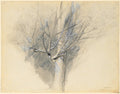Budding Sycamore by John Ruskin (British, 1819–1900) - Classic Art canvas print