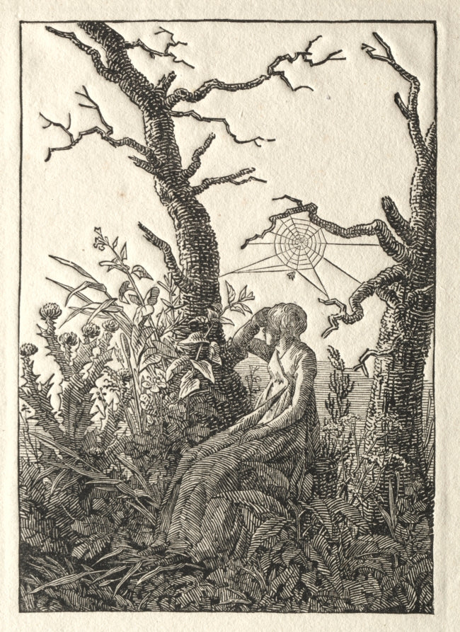The Woman with the Spider Web between Bare Trees by Caspar David Friedrich (German, 1774–1840) - Classic Painting canvas print