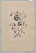 Persian Flowers by Jean Baptiste Pillement (French, 1728–1808) - Classic Painting canvas print