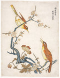 Birds on Plum Branches by  - Classic Painting canvas print