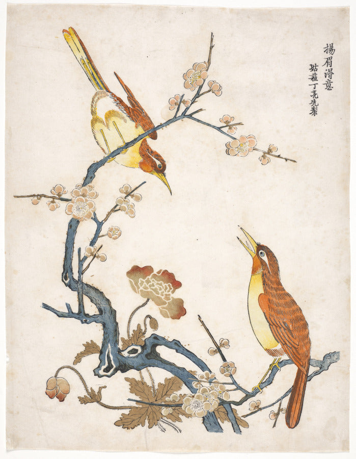 Birds on Plum Branches by  - Classic Painting canvas print