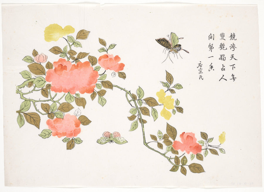 Butterflies on Roses by  - Classic Painting canvas print