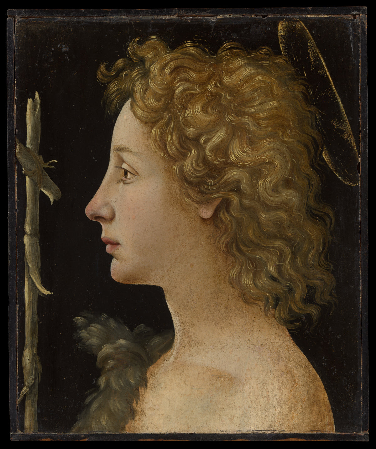 The Young Saint John the Baptist by Piero di Cosimo (Piero di Lorenzo di Piero d'Antonio) - Tempera canvas print