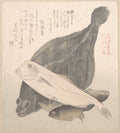 Flounder and Other Fishes by Kubo Shunman - Ukiyo-e canvas print