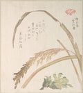 Rice Plant and Butter-Burs by Kubo Shunman - Ukiyo-e canvas print