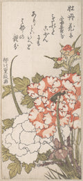 Peonies and Iris by Yanagawa Shigemasa - Ukiyo-e canvas print