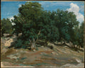 Fontainebleau Oak Trees at Bas-Brau by Camille Corot - Realist canvas print