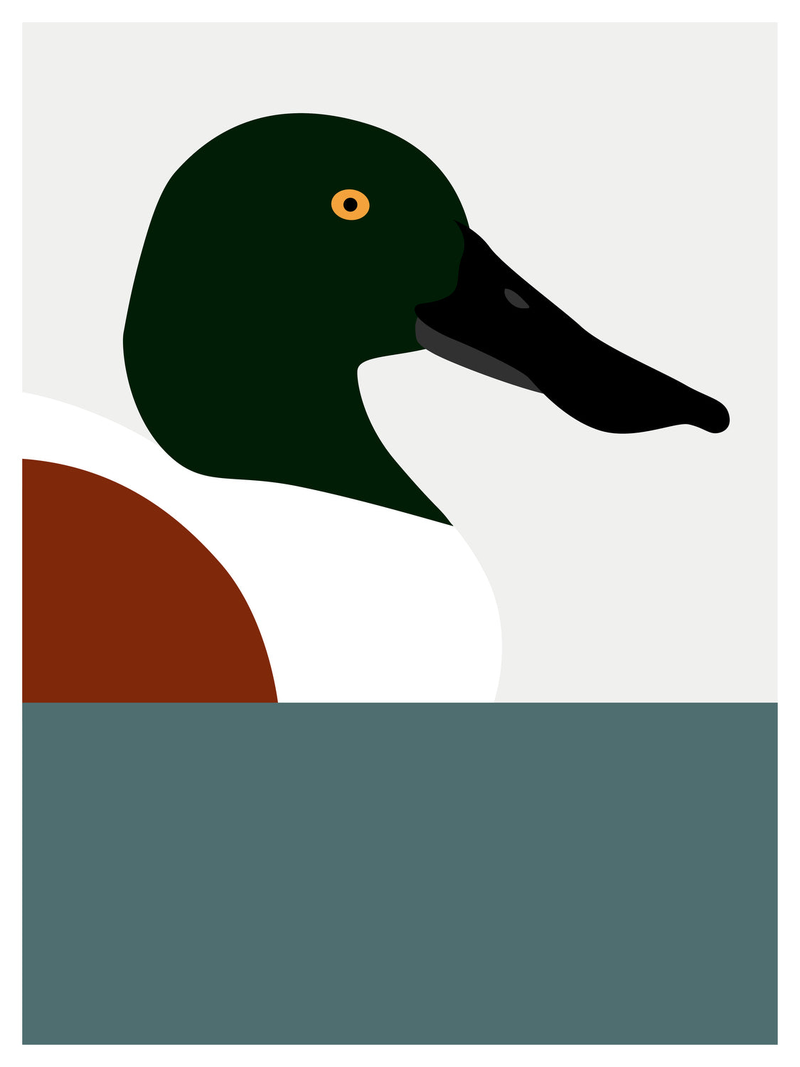 Duck, Northern Shoveler by PrintCollection - Oil Painting canvas print