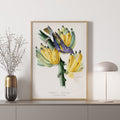 Tachyphone archeveque Poster by Moryarty - Oil Painting canvas print