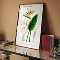 Oiseau de paradis Poster by Moryarty - Oil Painting canvas print