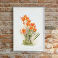 Epidendrum vitellinum Poster by Moryarty - Oil Painting canvas print