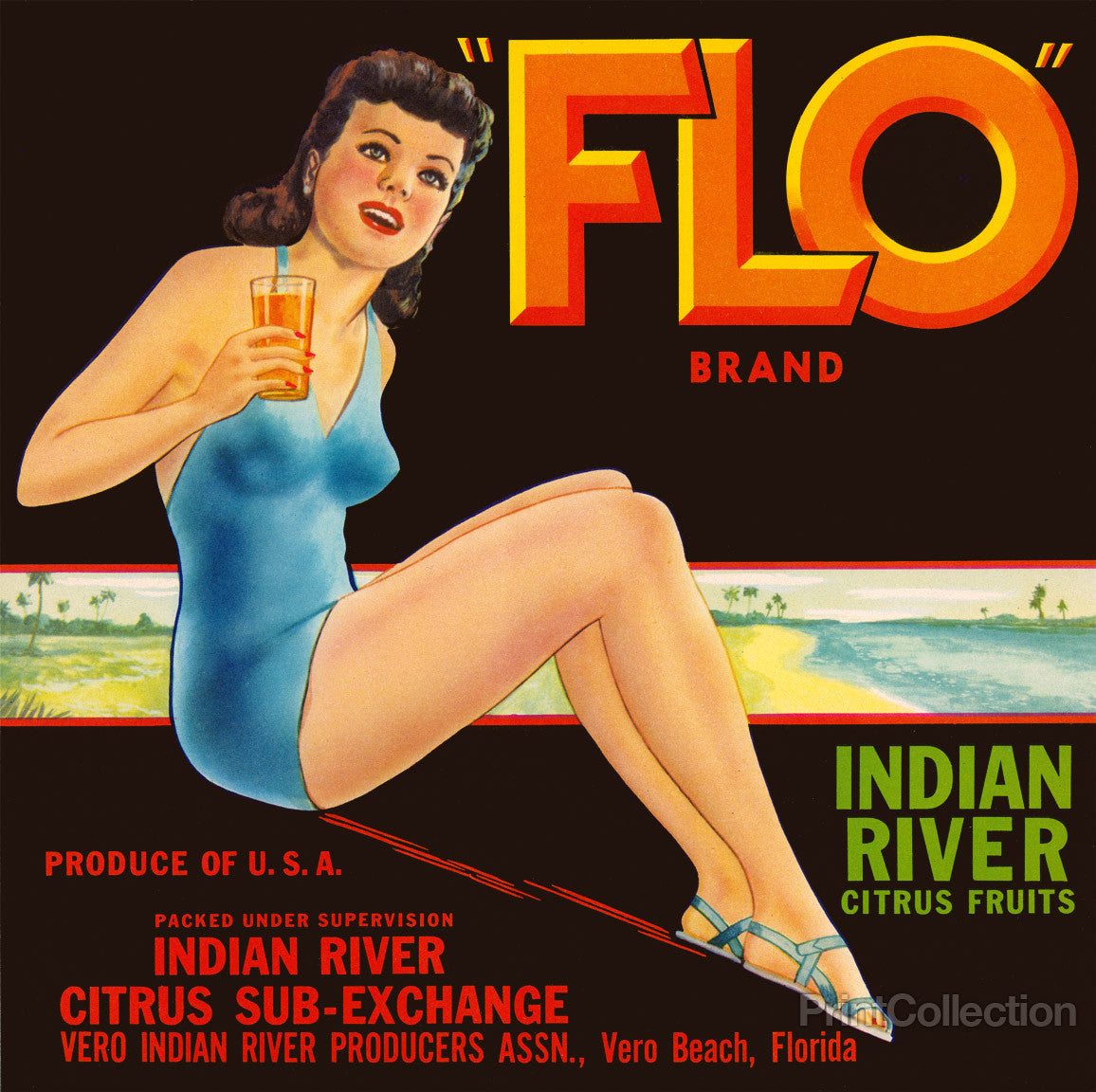 FLO Brand Citrus by PrintCollection - Oil Painting canvas print