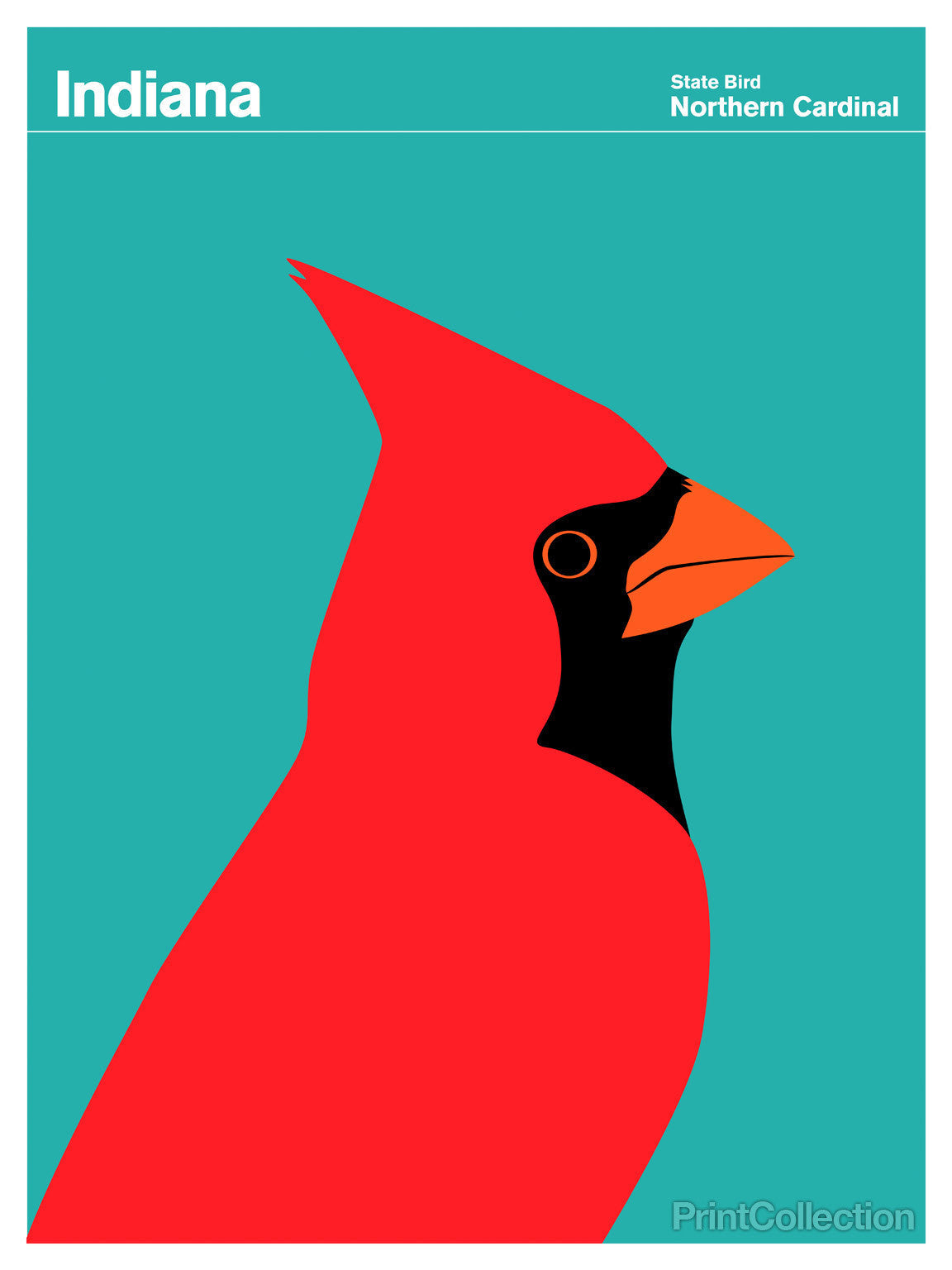 Indiana Northern Cardinal by PrintCollection - Oil Painting canvas print