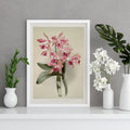 Llio-cattleya Poster by Moryarty - Oil Painting canvas print