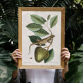 Iguane Guana Poster by Moryarty - Oil Painting canvas print