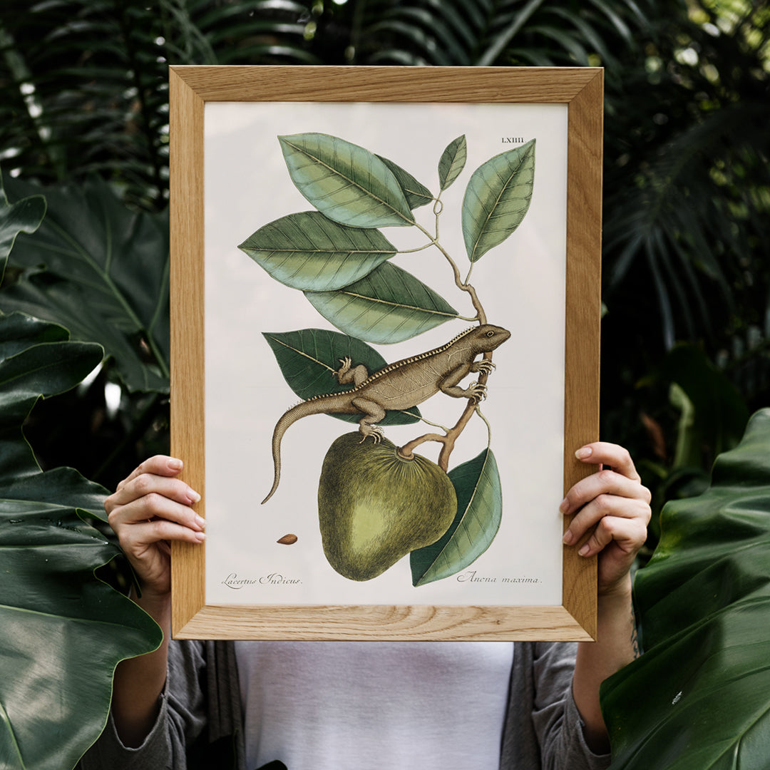 Iguane Guana Poster by Moryarty - Oil Painting canvas print