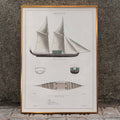 Amboine Poster by Moryarty - Oil Painting canvas print