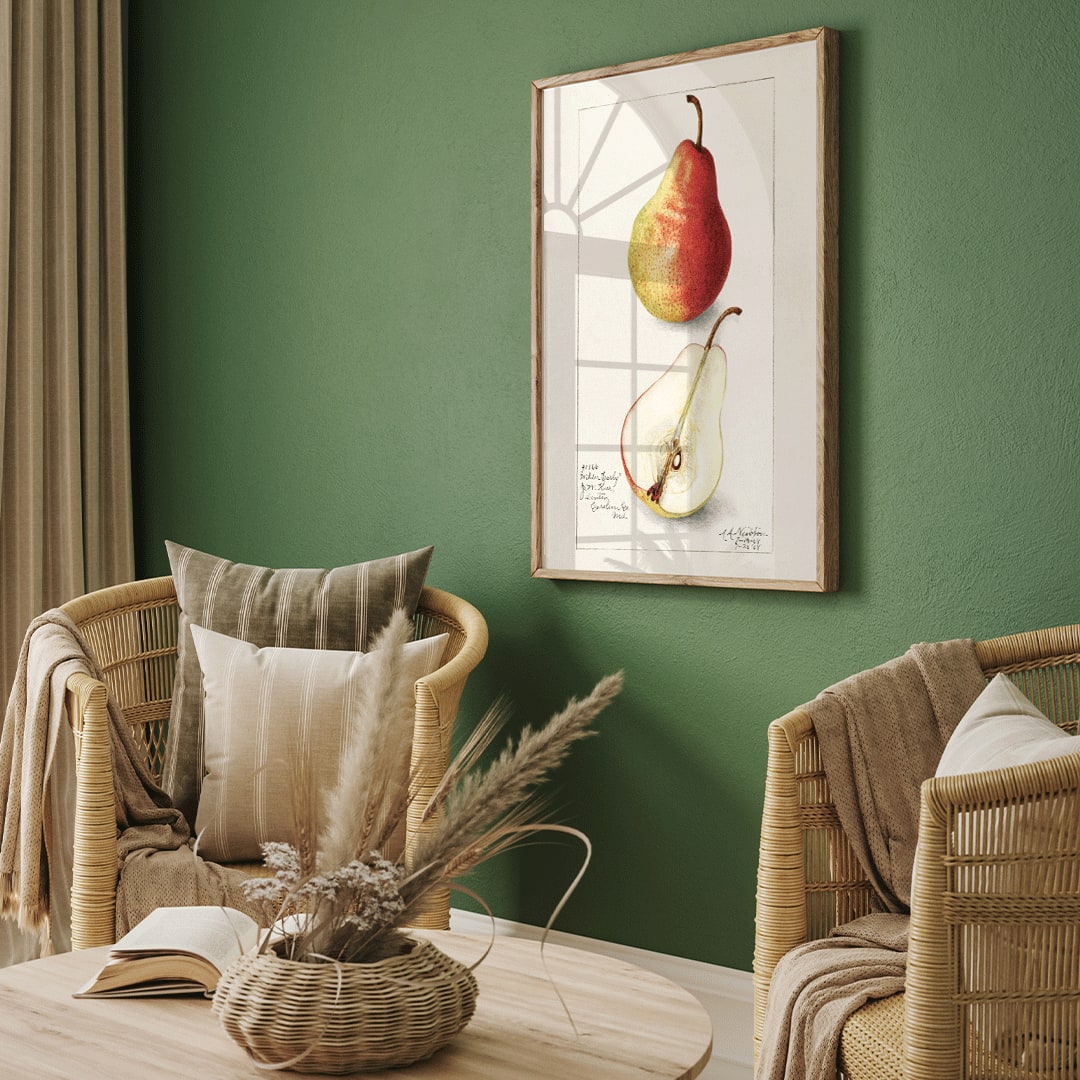 Pyrus Communis 2 Poster by Moryarty - Oil Painting canvas print
