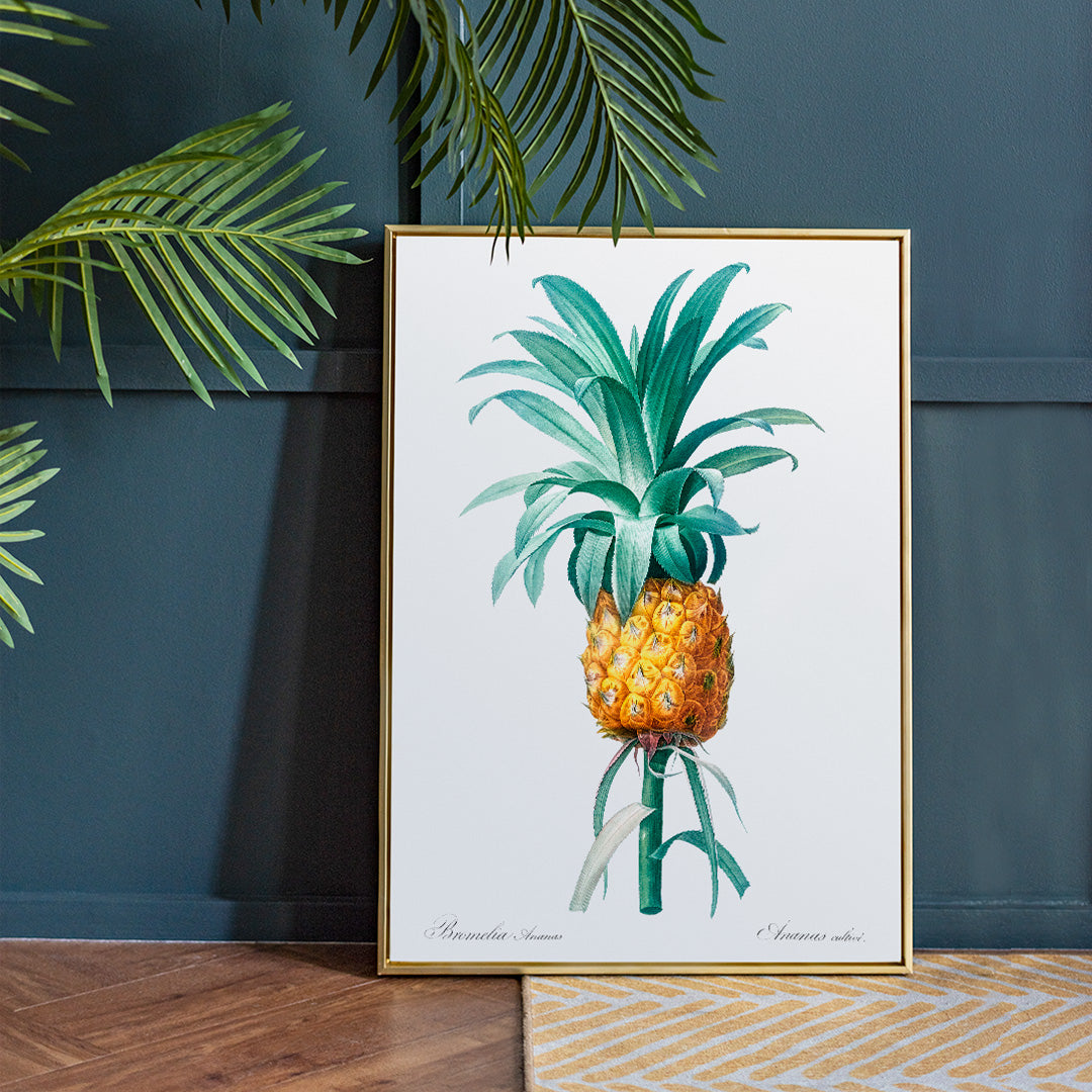 Ananas Poster by Moryarty - Oil Painting canvas print