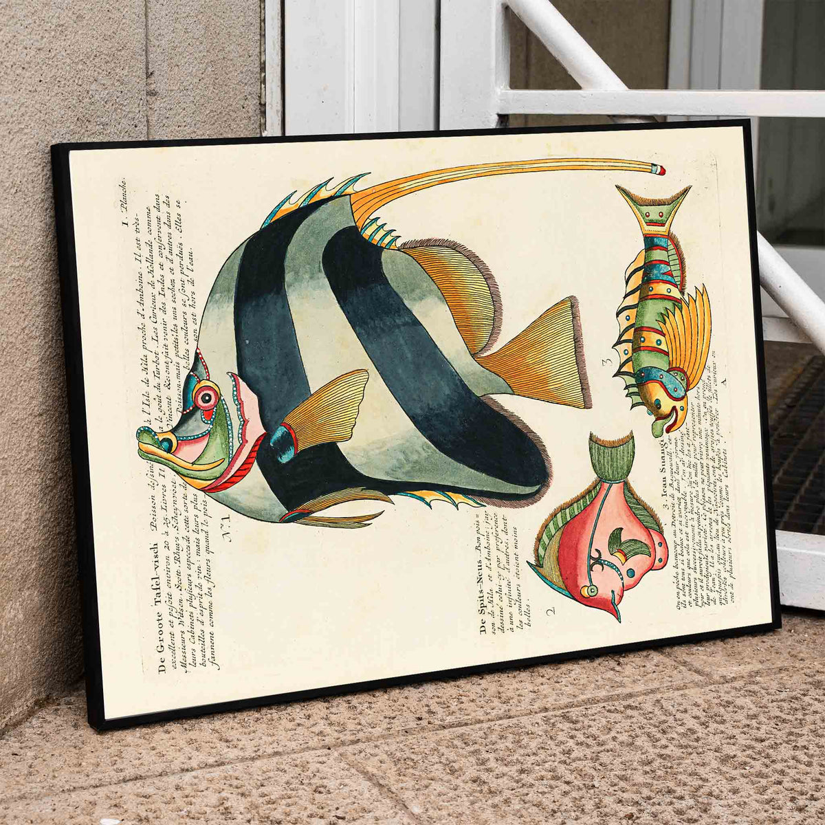 Illustrations colores et surralistes de poissons Poster by Moryarty - Oil Painting canvas print