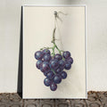 Grappe de raisins bleus Poster by Moryarty - Oil Painting canvas print