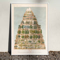 Dcroissement altitudinal de la vgtation Poster by Moryarty - Oil Painting canvas print