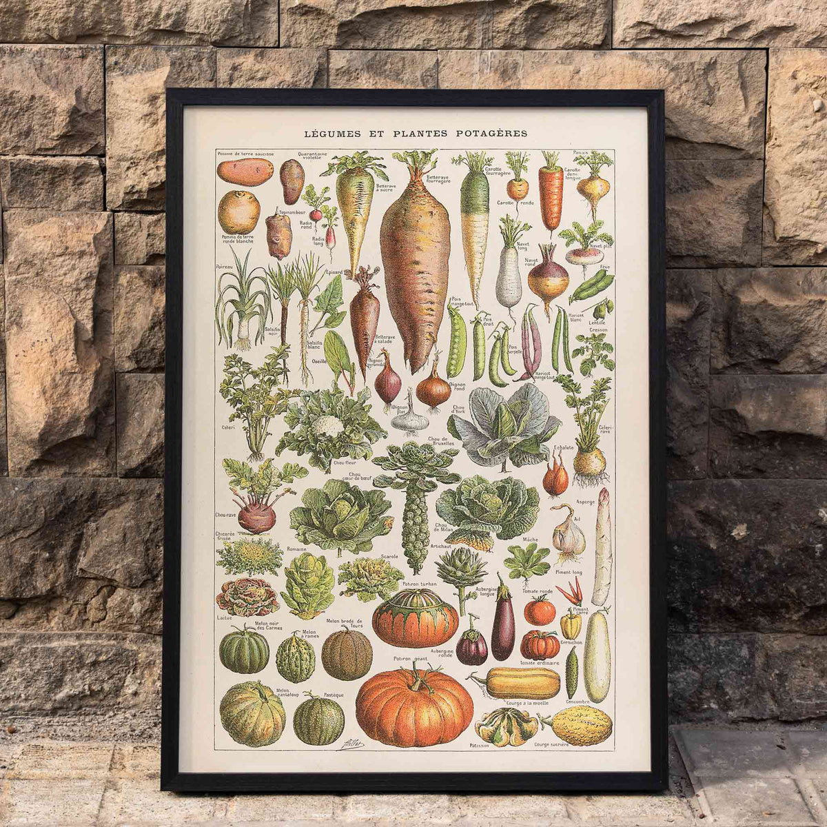 Plantes potagres Poster by Moryarty - Oil Painting canvas print