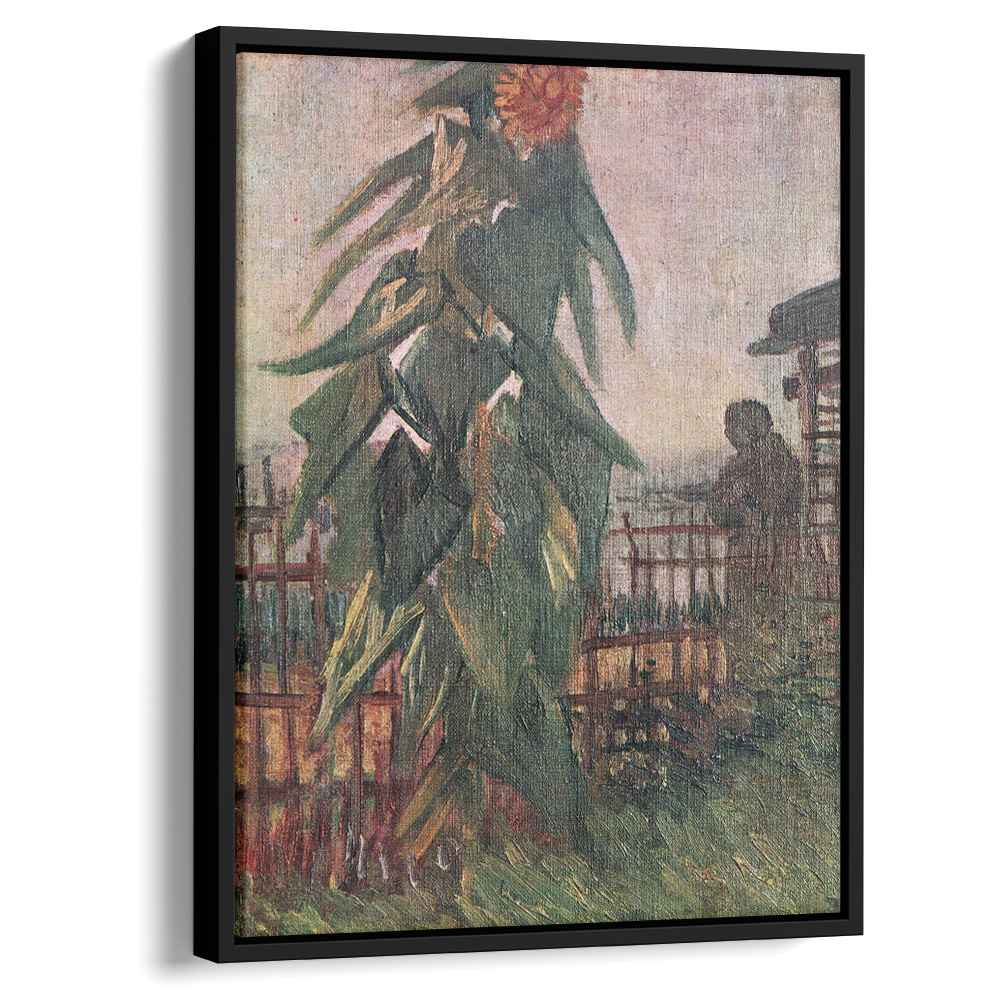 The Garden with Sunflower 1887 by Vincent van Gogh by Vincent van Gogh - Post-Impressionist canvas print