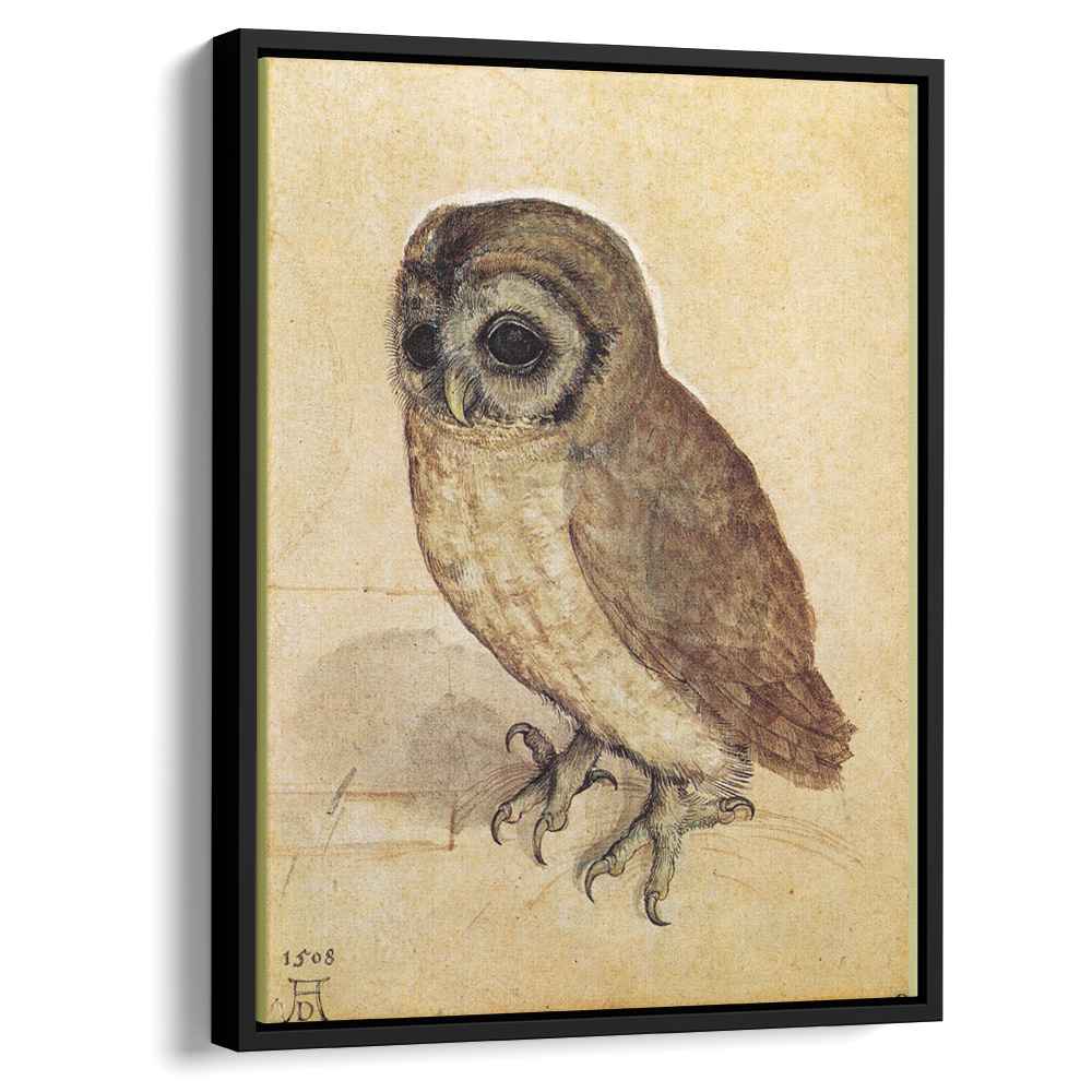 The Little Owl 1506 by Albrecht Durer by Albrecht Durer - Renaissance canvas print
